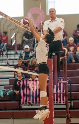 Aleyna Gerlach